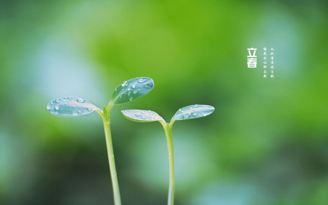 立春年是什么意思_2023年立春_立春年俗