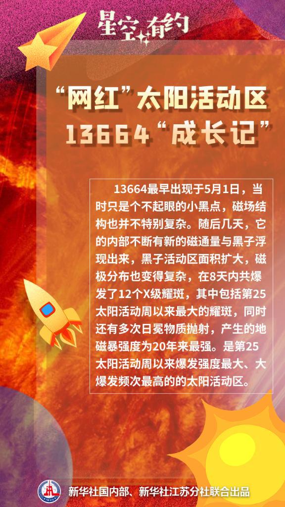 海洋月季花图片_海洋月亮图片_海洋日是几月几日