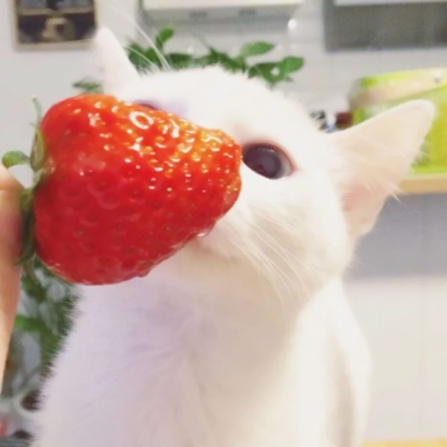 萌翻_萌翻_萌翻