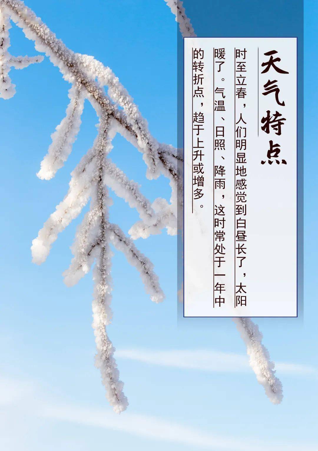 节气今天是什么节气节日_节气今天是几九_今天节气