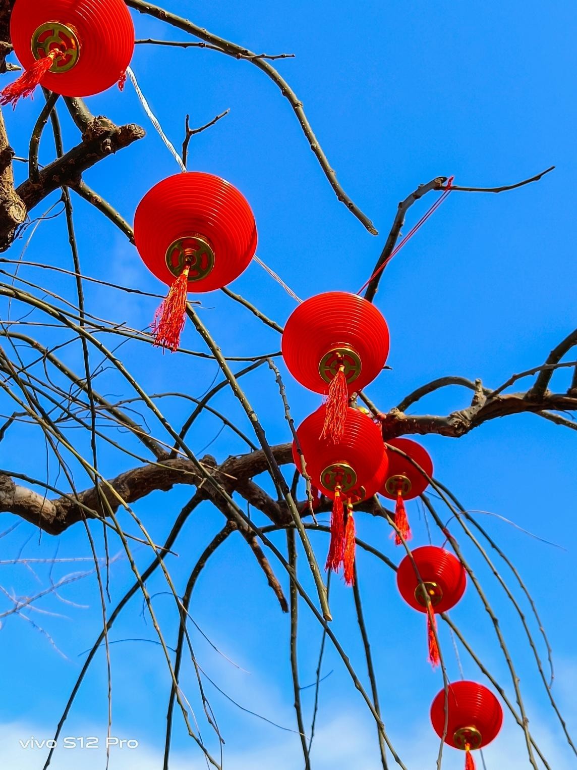 腊月十八是哪个神仙的生日_腊月二十四_腊月是指哪个月