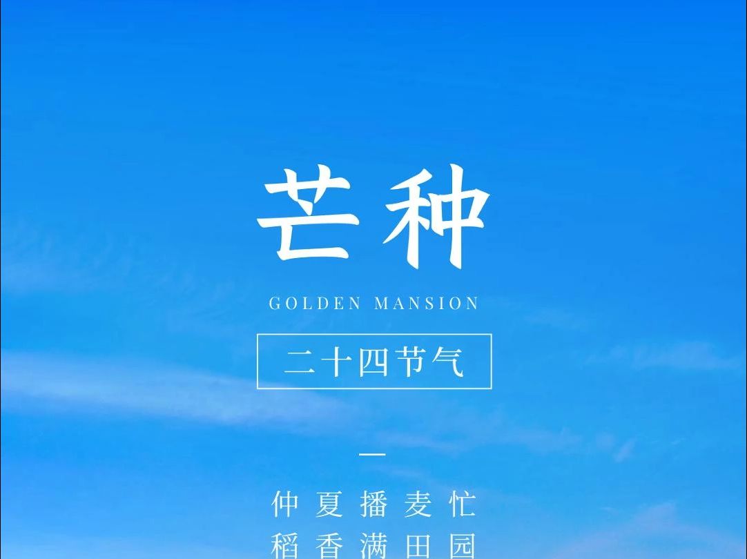 芒种含义_芒种的含义是什么10个字左右_芒种的含义