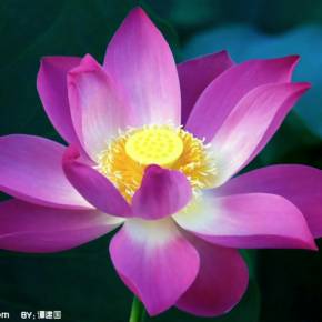 开启游戏散热功能_游戏手机的散热系统_手机游戏散热设置