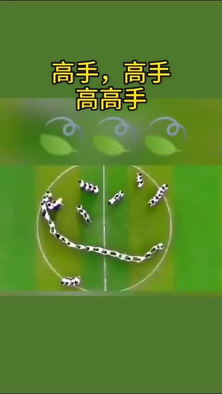 手机玩游戏技能乱放_手机玩游戏技能在哪里_玩技能手机游戏有哪些