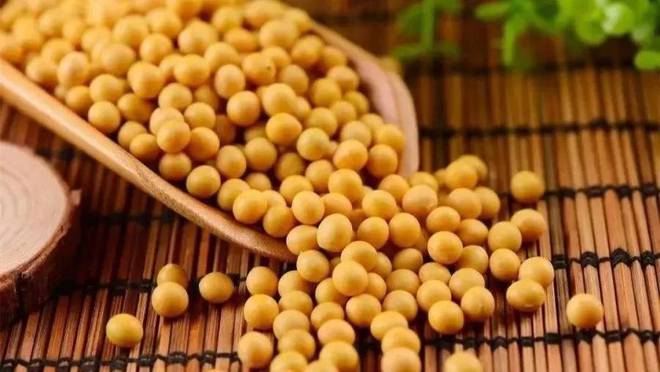 格洛丽亚_格洛丽亚_格洛丽亚