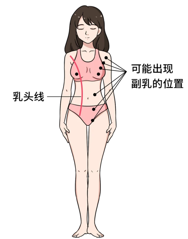 妇女游戏有哪些_手机游戏妇女之友_安卓游戏女友
