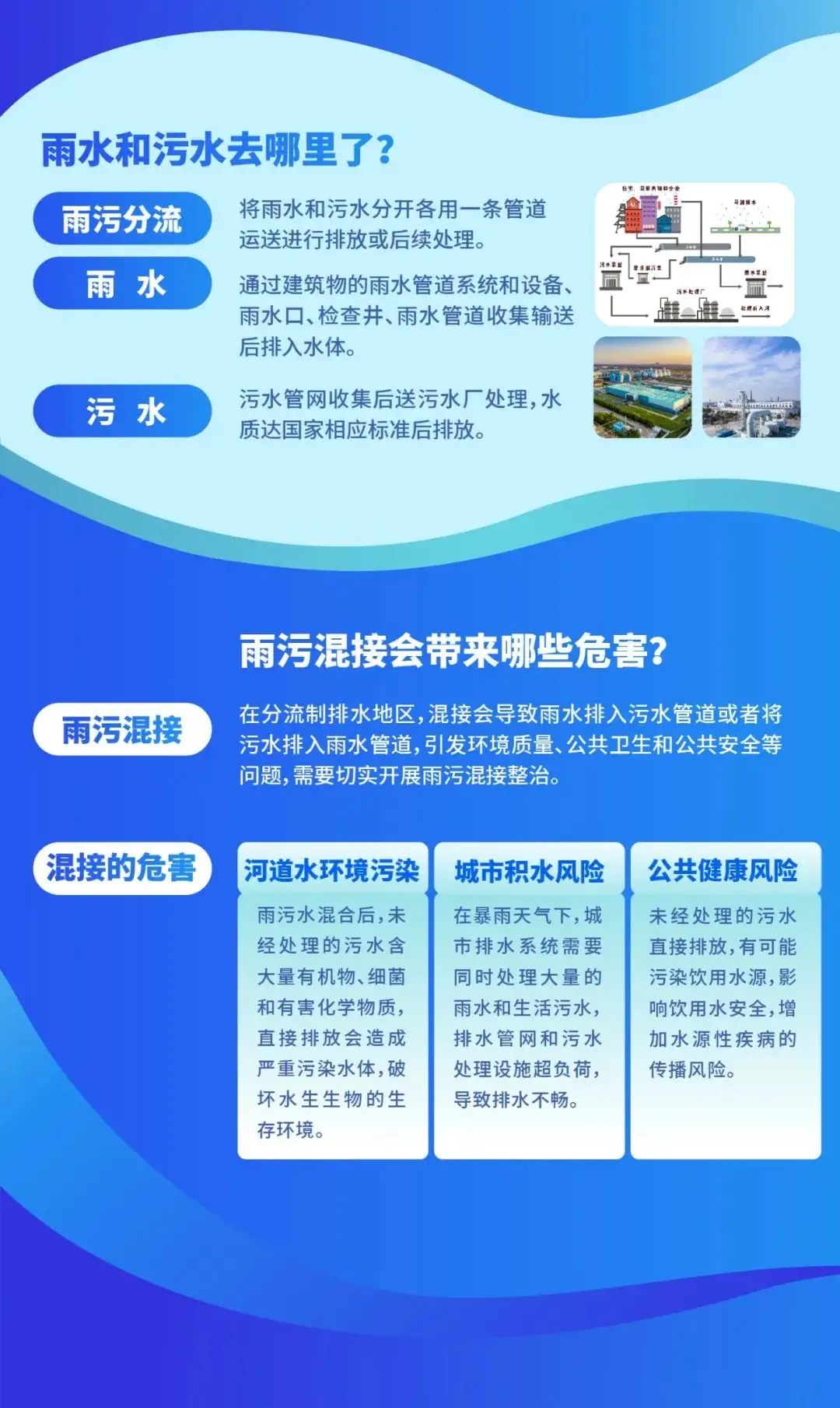 稀有度是什么意思_稀有度_稀有度排行从小到大