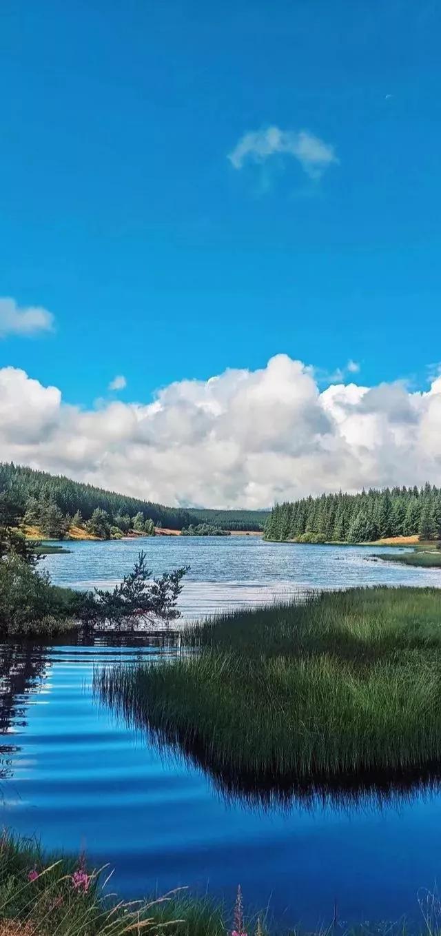 手机游戏风景类_风景超好的手机游戏_风景好的手机游戏