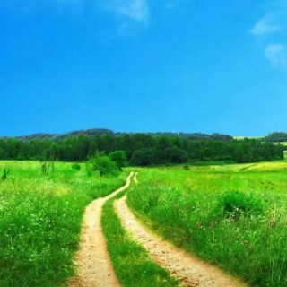 幻奏盛宴_幻奏卡组_幻奏