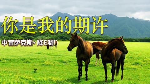 幻奏盛宴_幻奏_幻奏卡组