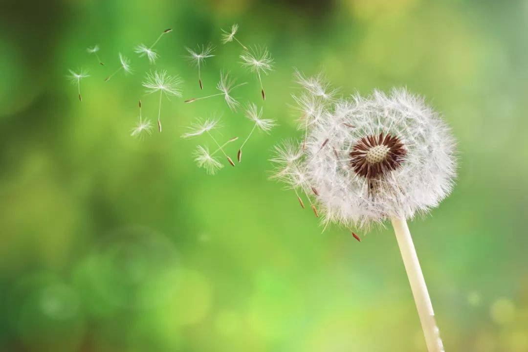 幻奏盛宴_幻奏_幻奏卡组