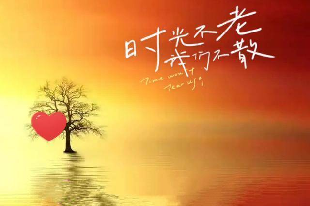 曹宪_曹宪_曹宪