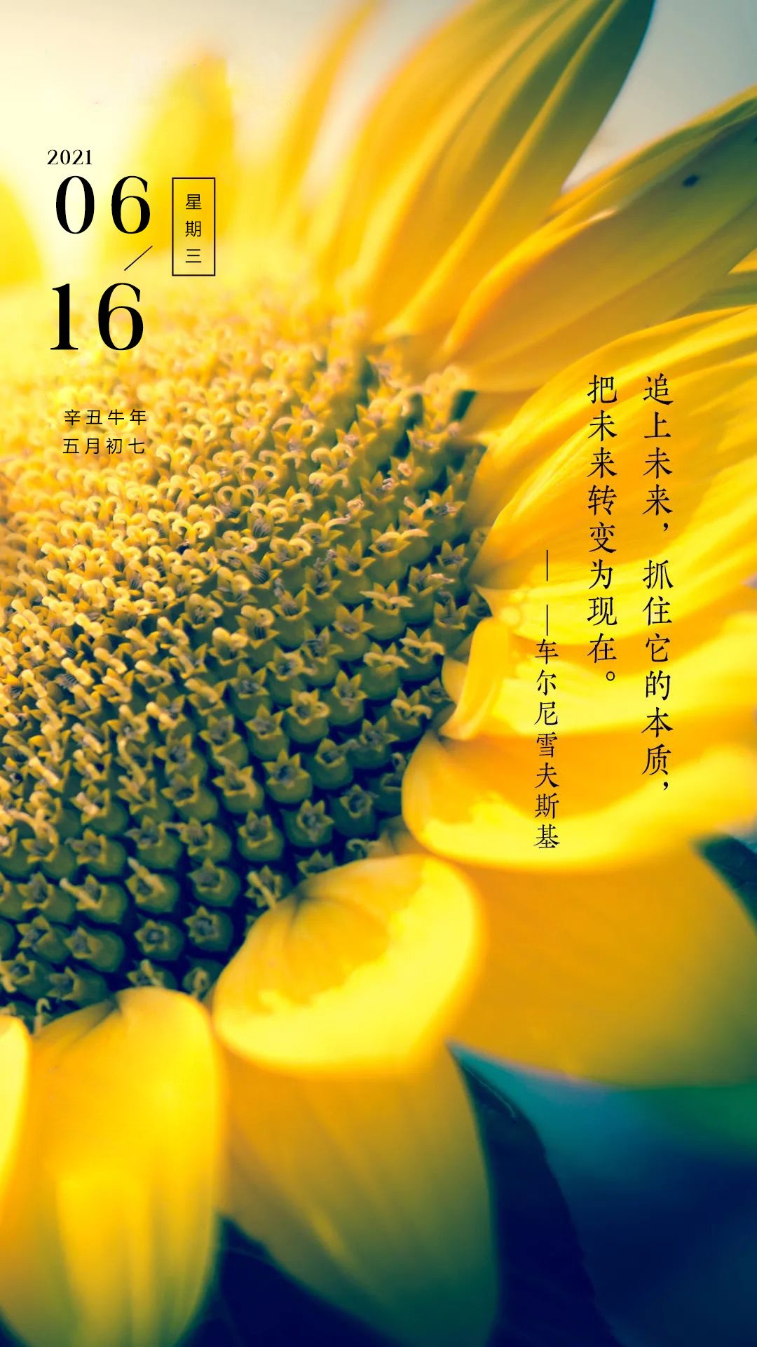 天有凶年_2018年有多少天_天年有限是什么意思