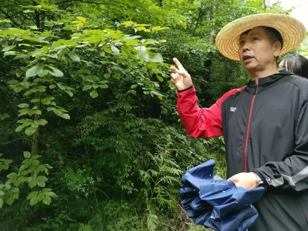 灼眼夏娜声优_灼眼夏娜的小说_灼眼的夏娜sp