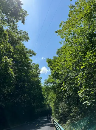 灼眼夏娜声优_灼眼的夏娜sp_灼眼夏娜的小说