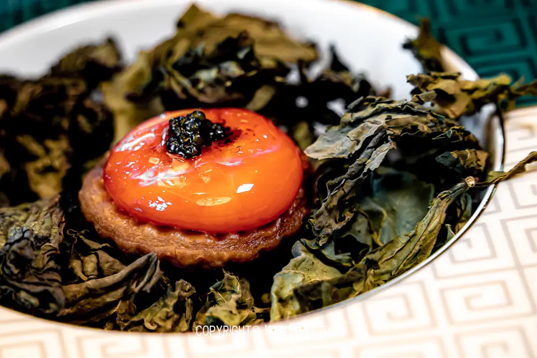 手机游戏穿越火线角色灵狐-穿越火线中灵狐角色的魅力：从平凡到
