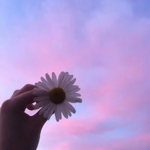 夏目蓝_夏目蓝_夏目蓝