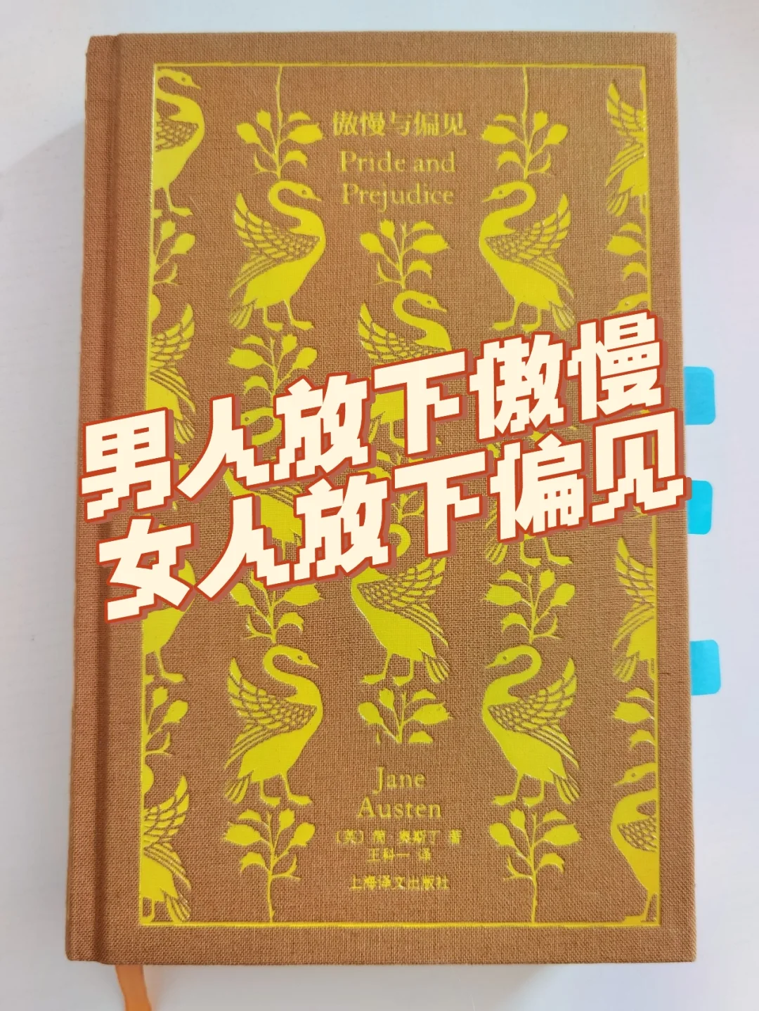 傲慢与偏见与僵尸_傲慢与偏见与僵尸男主_傲慢与偏见与僵尸经典台词