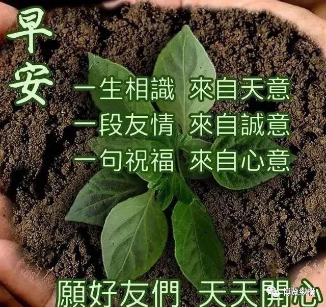 武汉会战时间_武汉会战时间线_会战武汉时间是哪一年