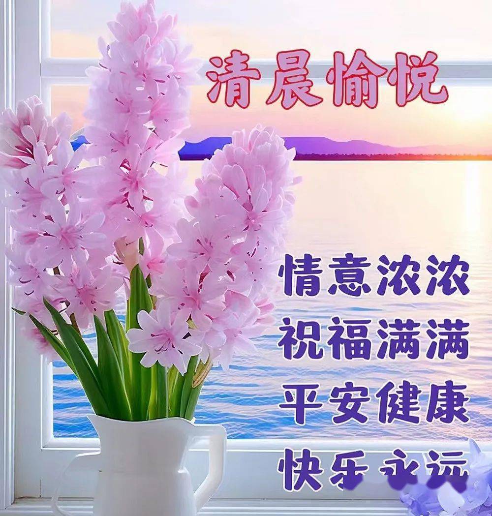 手机所有单机游戏_不用网的单机手机游戏_单机手机游戏排行榜