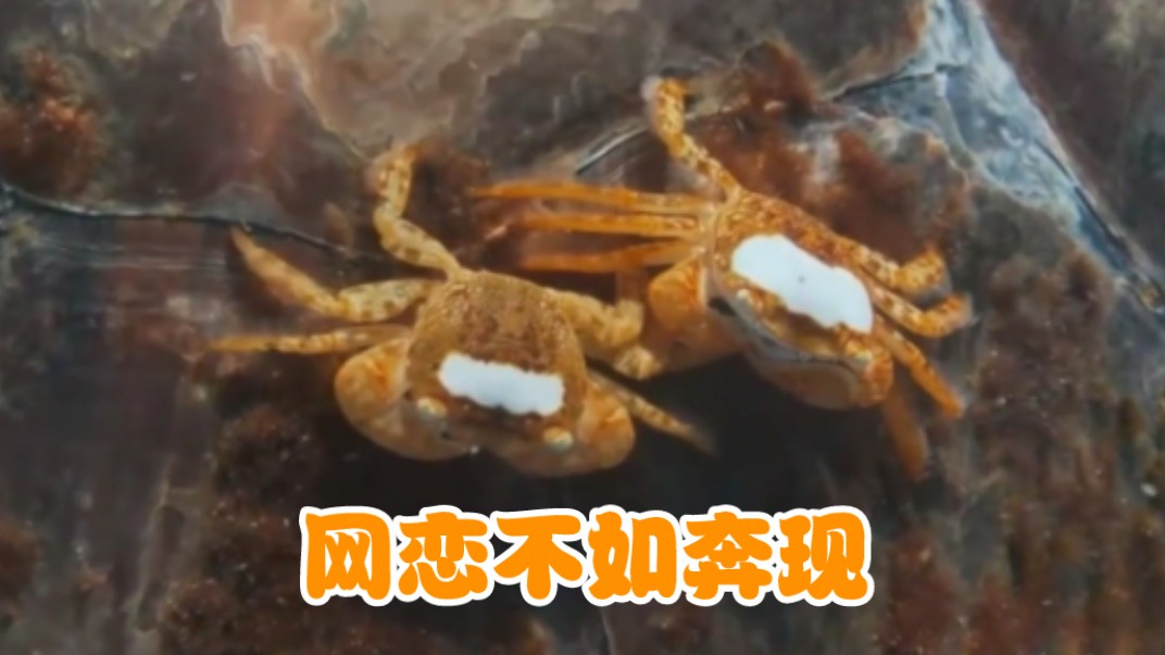 看今日头条极速版真的能赚钱吗_看今日头条赚的钱在哪里放着_头条能今日赚钱版看广告吗