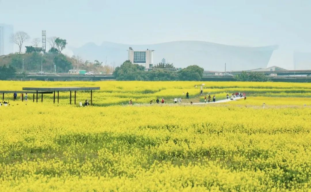 2025年是不是闰月年_2022年3月22日_月年2023年