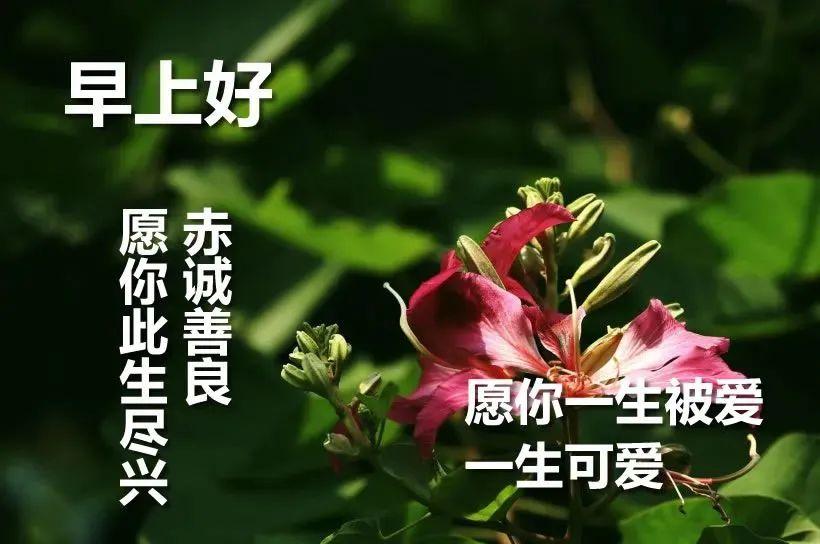 手机游戏火机-火机：点燃热情的手机游戏，带来刺激与快乐的避风