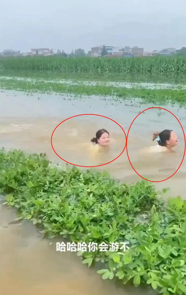 皇瑟网站，真是让人又爱又恨啊