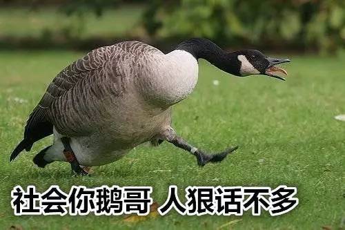 皇瑟网站_皇瑟网站_皇瑟网站