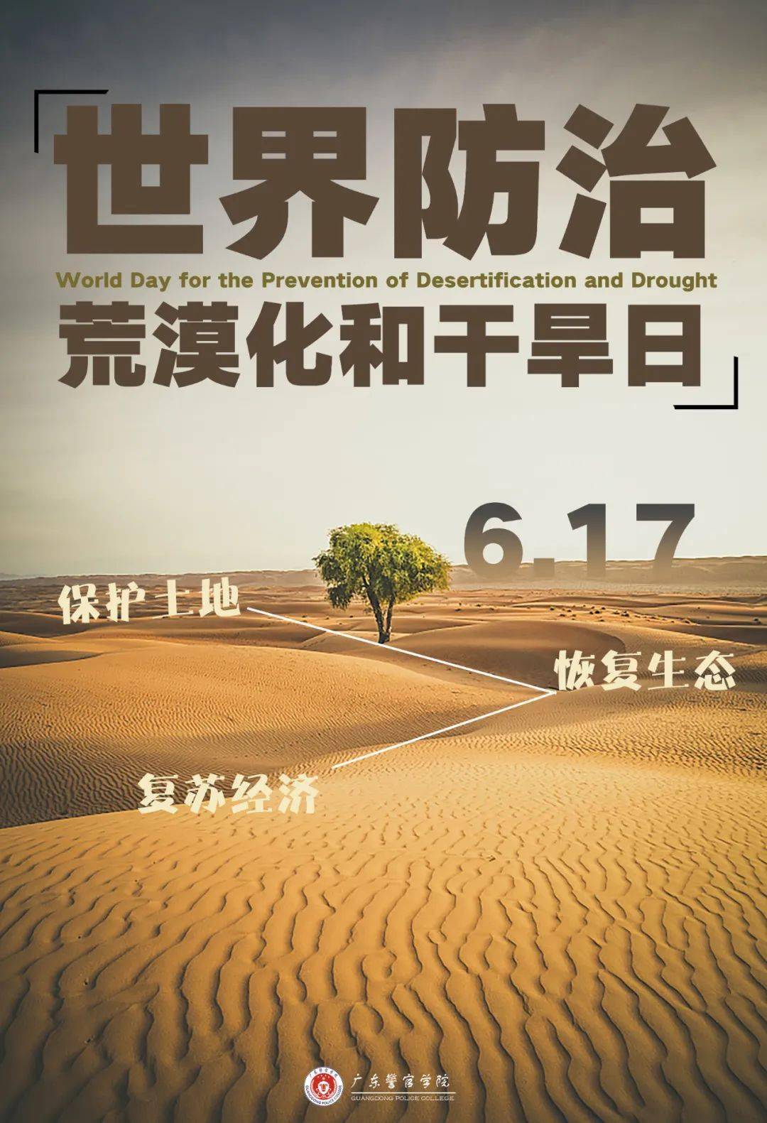 干旱地区荒漠化的防治措施_世界防治荒漠化和干旱日_世界防治荒漠和干旱日