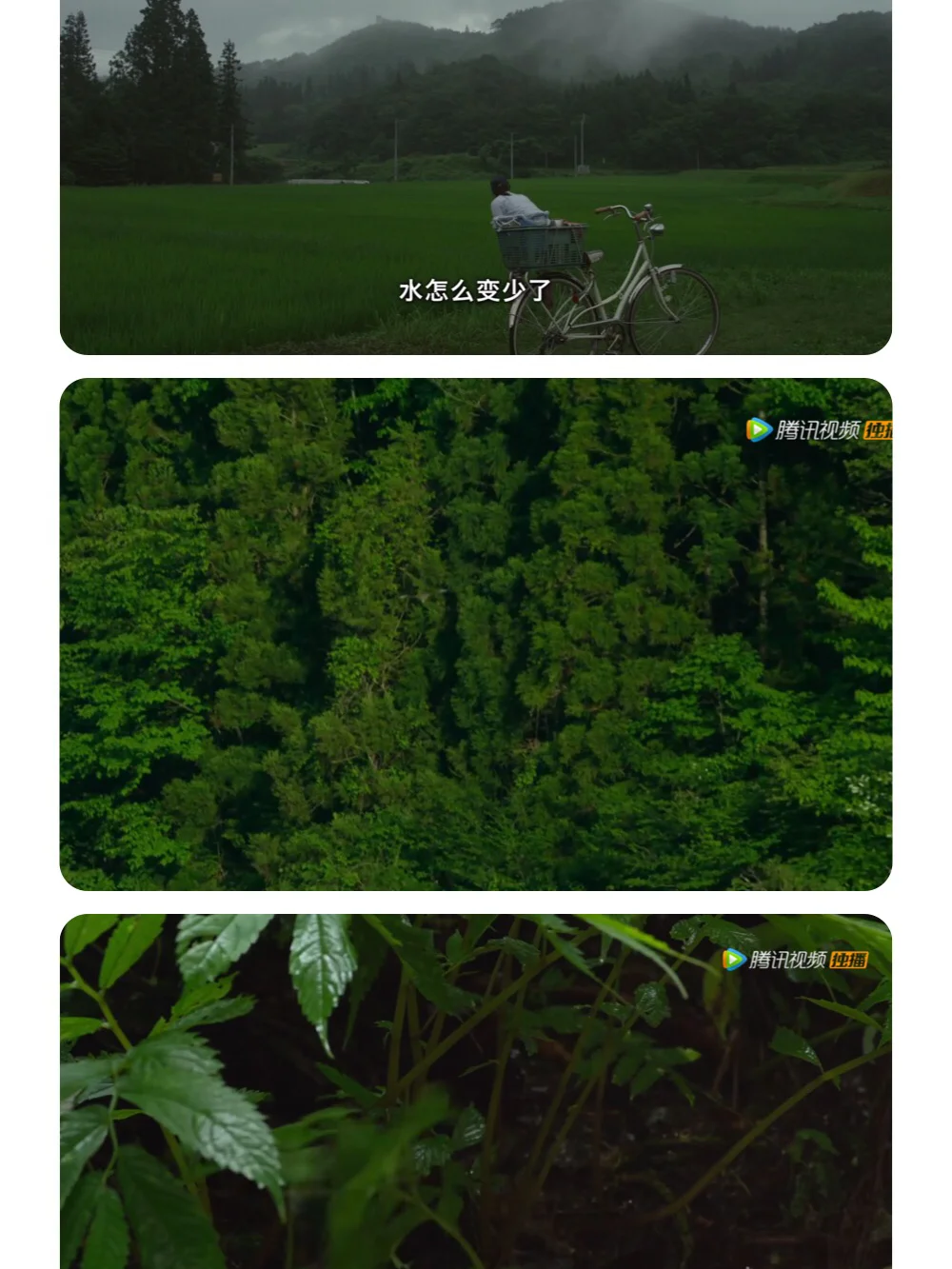 视频宣传手机游戏违法吗_手机游戏宣传视频_视频宣传手机游戏怎么做