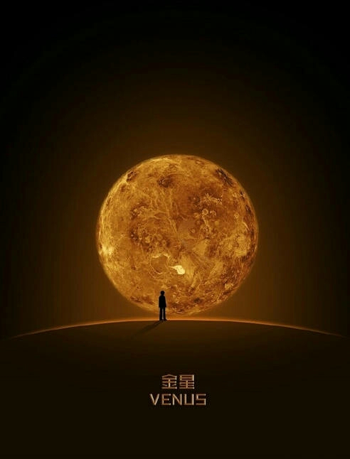 菲雅：如温柔的风，似夜空中最亮的星，照亮我的生活