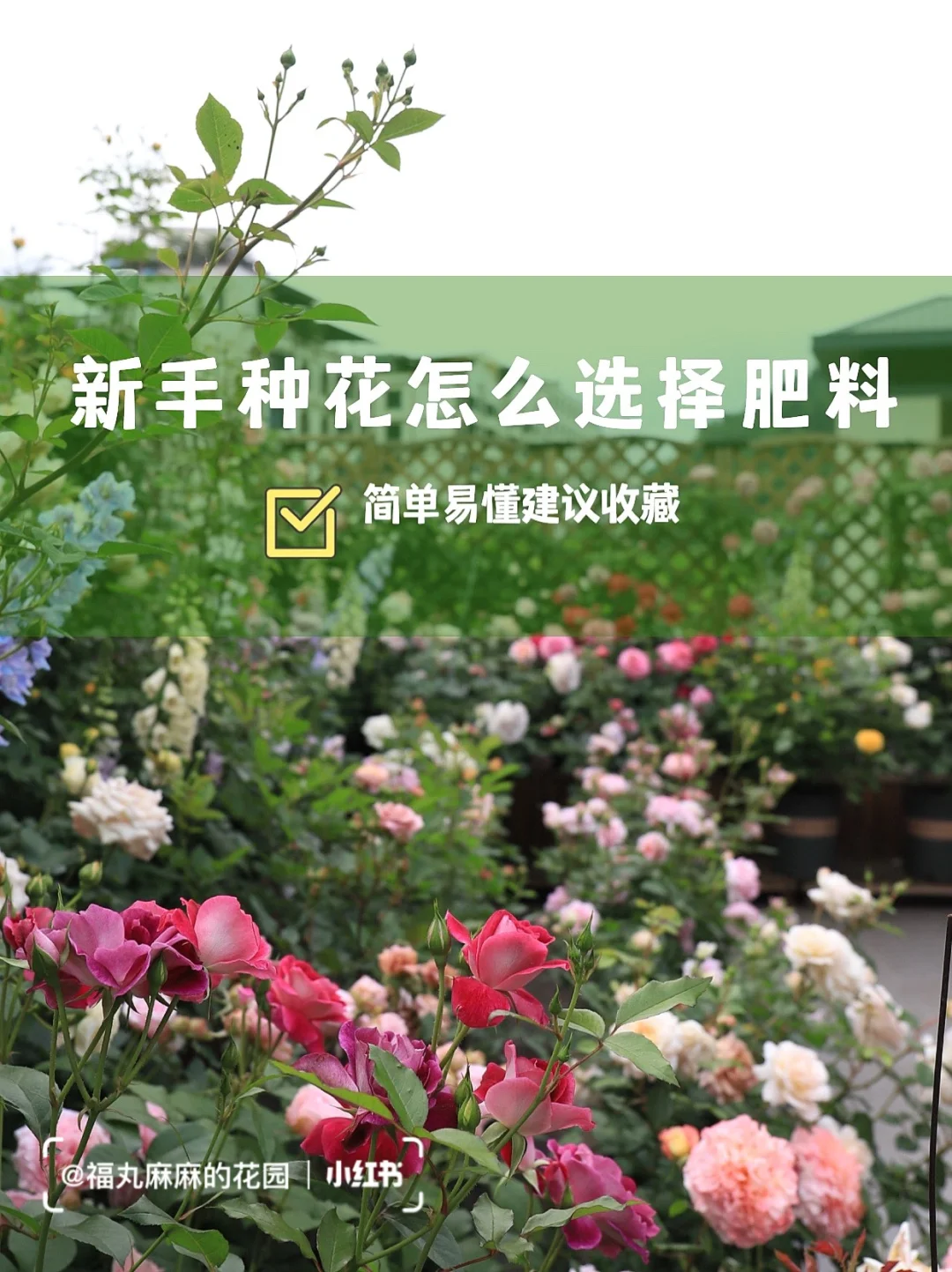 伪军和皇协军的区别_伪军是谁的部队_伪军