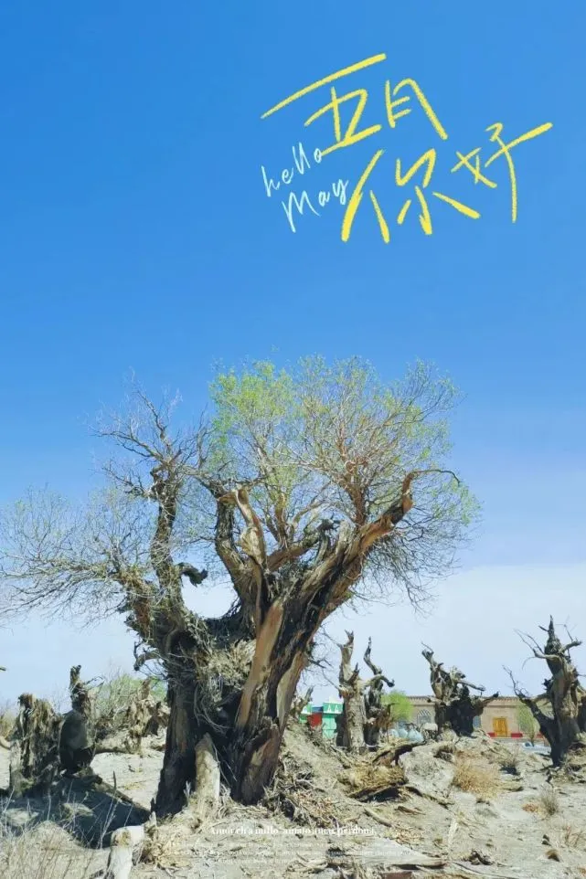 废都物语_废都物语流程攻略_废都物语路线