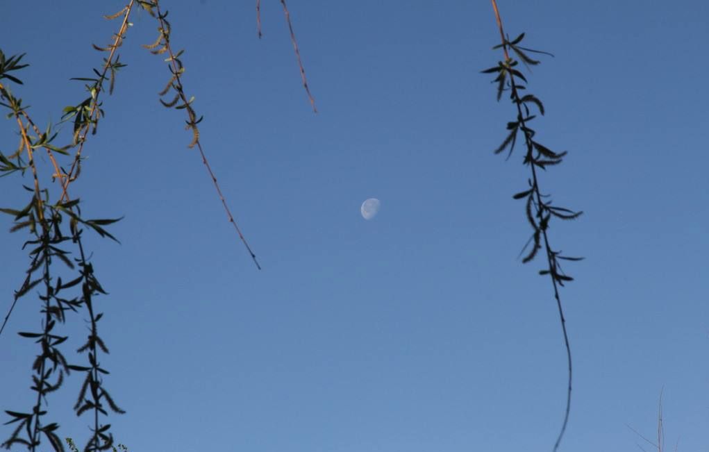 废都物语流程攻略_废都物语路线_废都物语