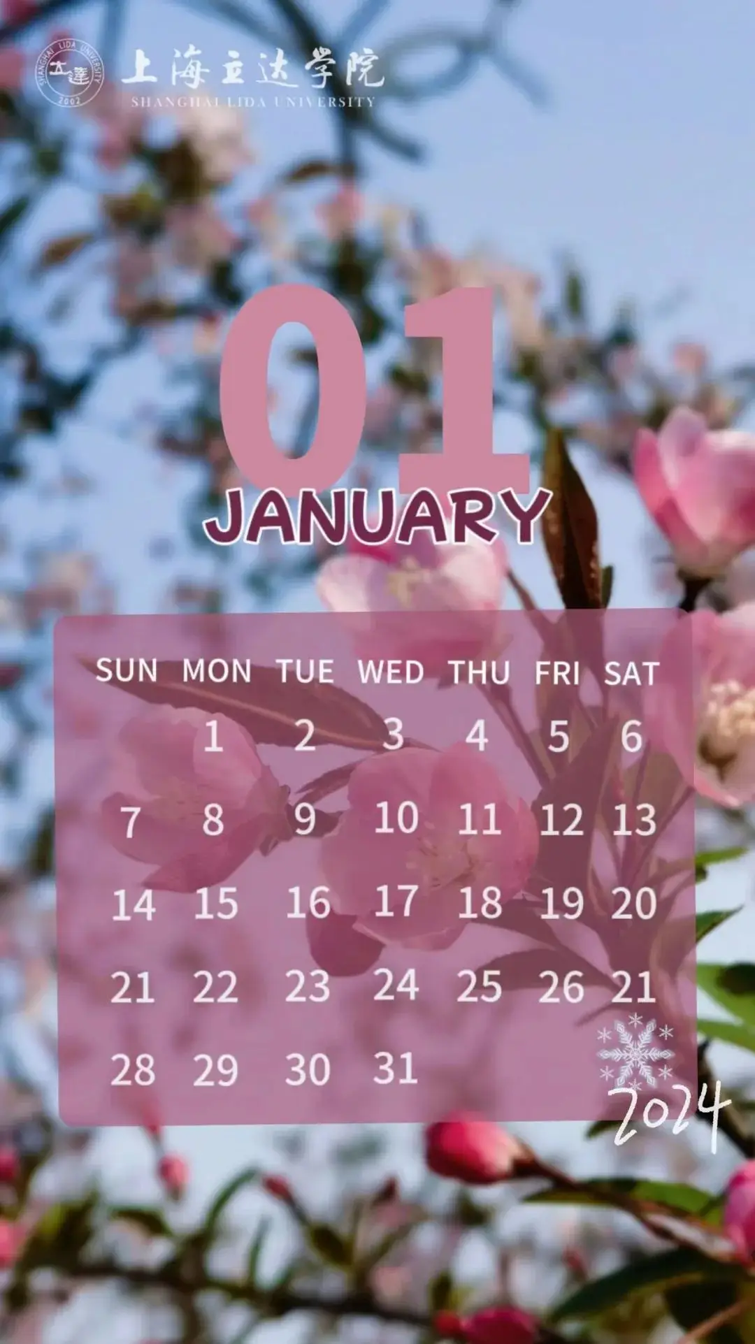 2022年12月日历_月历2022_日历2021月日历