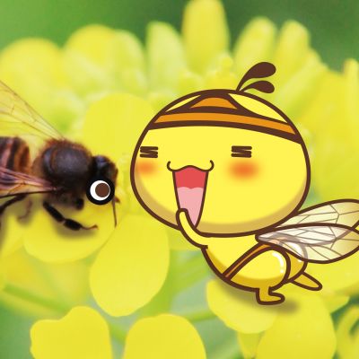 手机玩游戏白屏怎么恢复_恢复玩白屏手机游戏会怎么样_手机游戏打开白屏