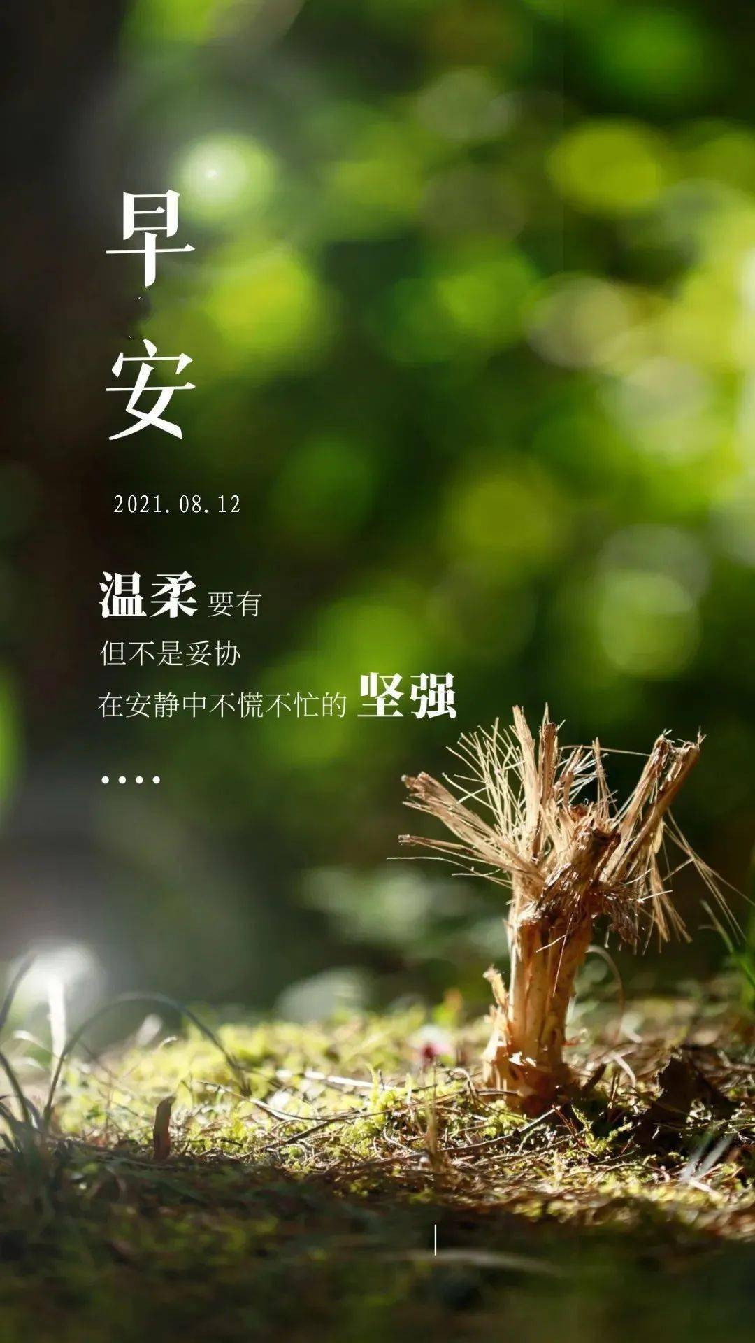 星之破晓_星乃_星乃