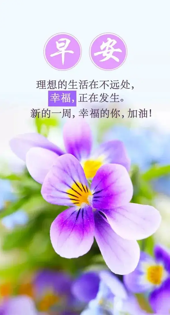 手机游戏现状_手机游戏现在中国还能玩吗_中国现在手机游戏