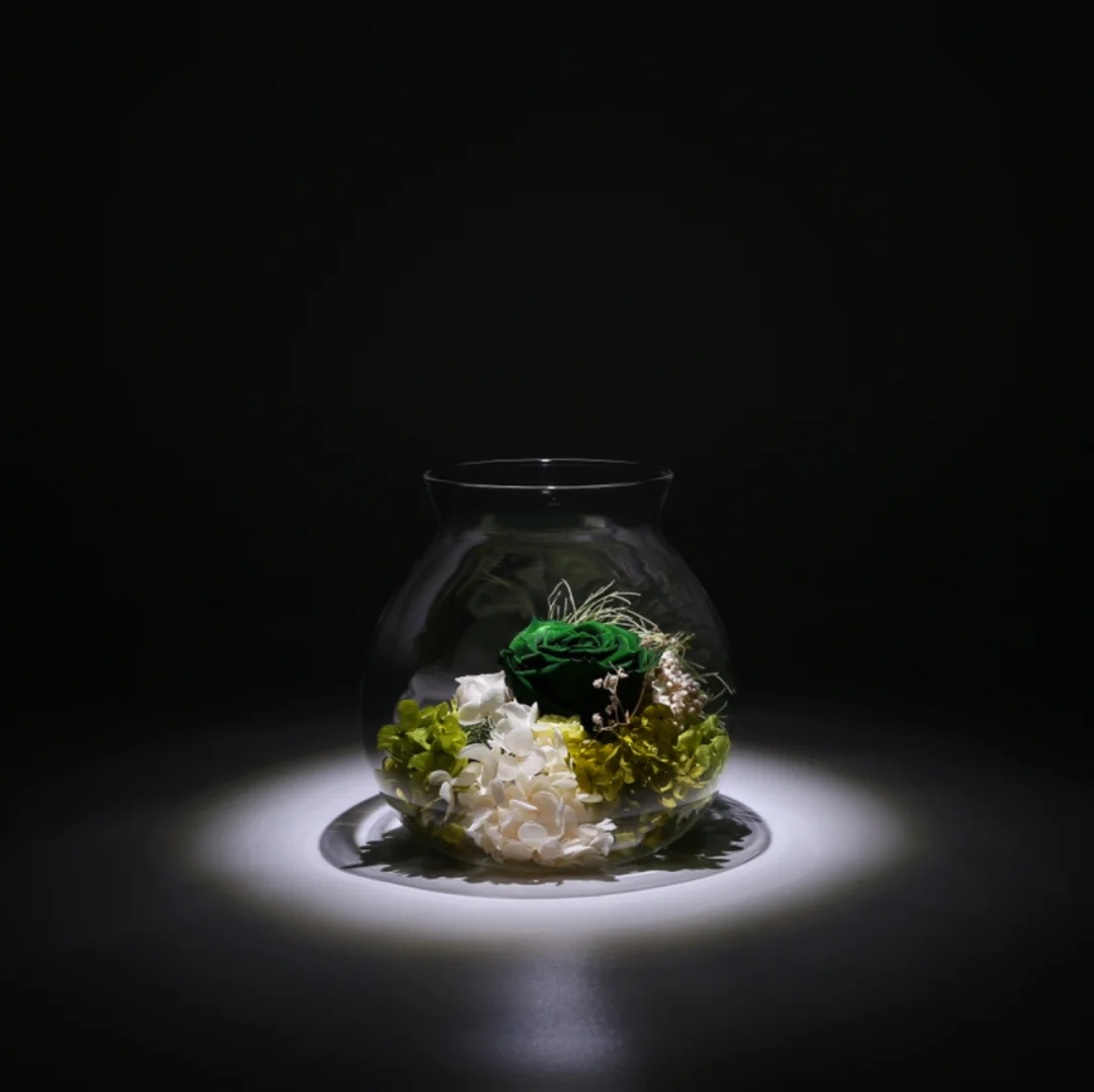神圣天使兽_神圣天使兽神官形态_神圣天使兽进化bgm
