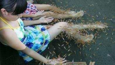 行骗天下浪漫篇_行骗天下下载_怜香行骗天下