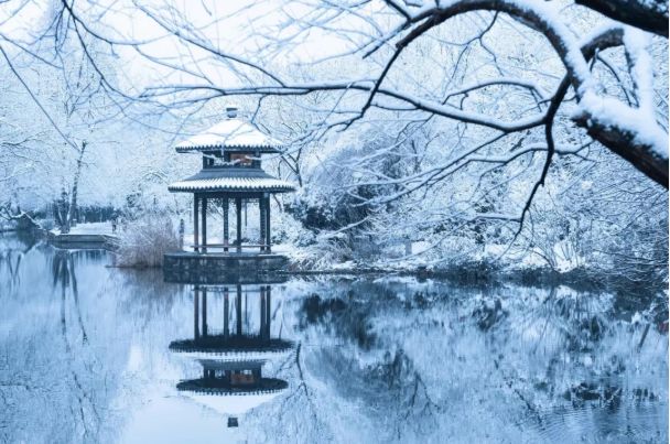 天野小雪_地塞米松可以治疗虫咬吗_奉化到上海汽车票查询