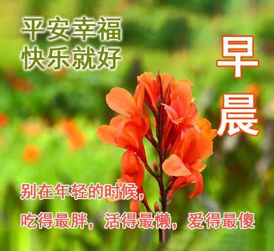 饭岛奈津美_雾岛奈津美的番号大全_崛口津奈美迅雷