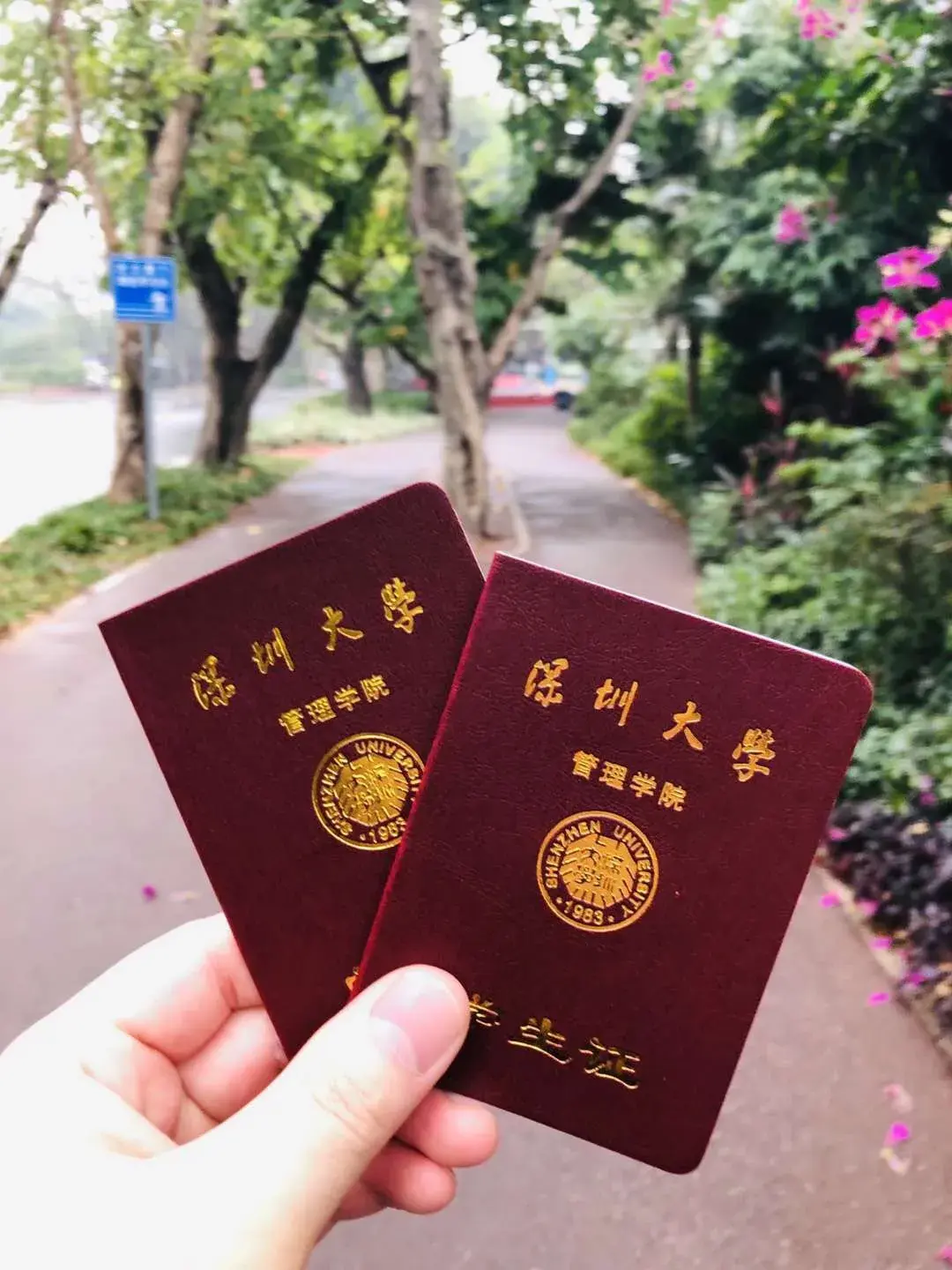 深圳模拟赛车体验_手机模拟深圳游戏_深圳哪里可以玩赛车模拟器
