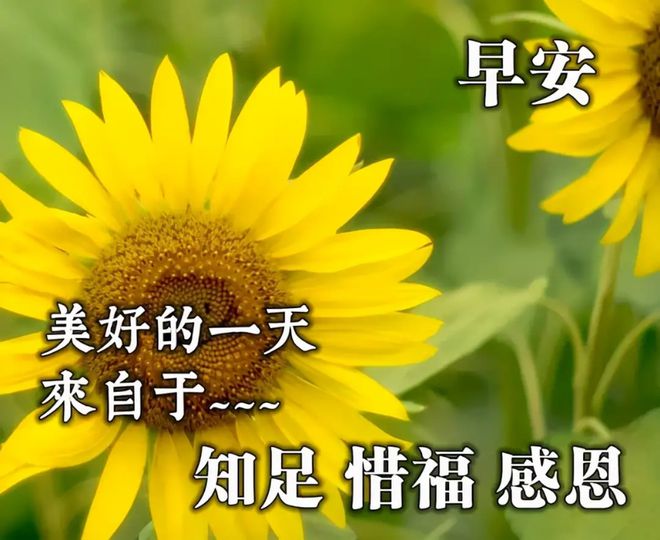 胖妞小卖铺_胖妞小手工_小胖妞