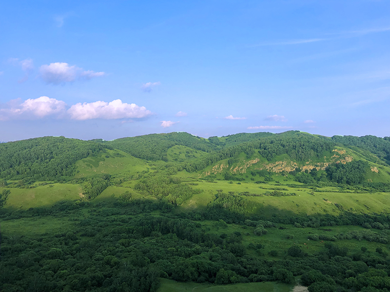 锦山彰_锦山彰_锦山彰