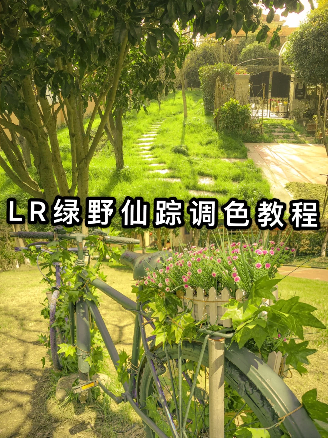 手机游戏仙踪_手机仙踪游戏怎么玩_手机仙踪游戏推荐