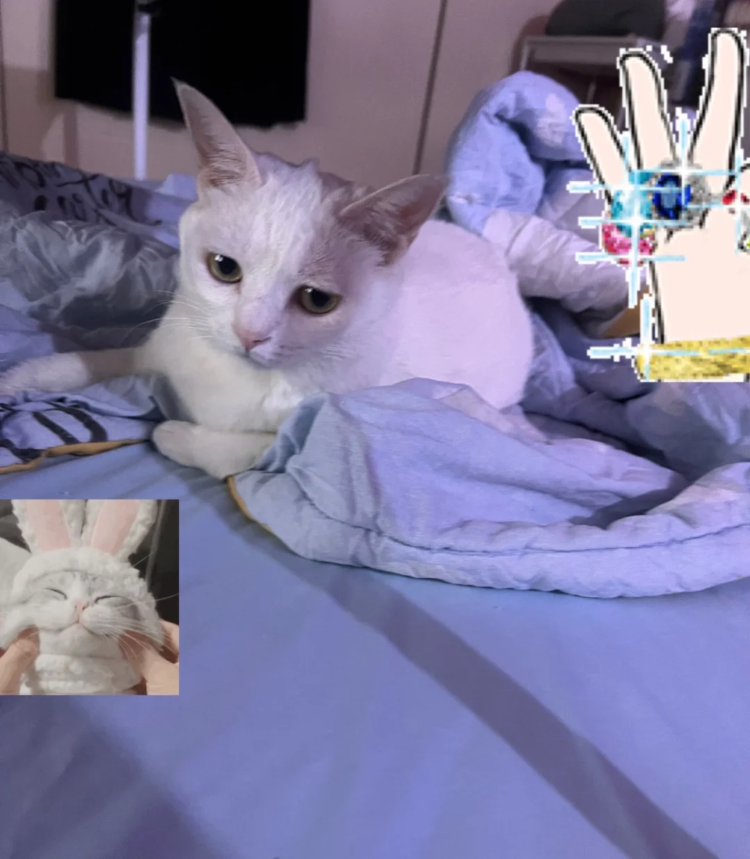 小咪_小咪呢儿歌_小咪的歌