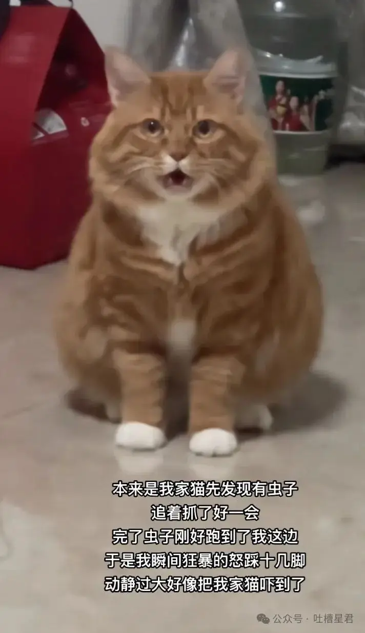 打游戏通话软件_手机游戏通话模式_通话的游戏