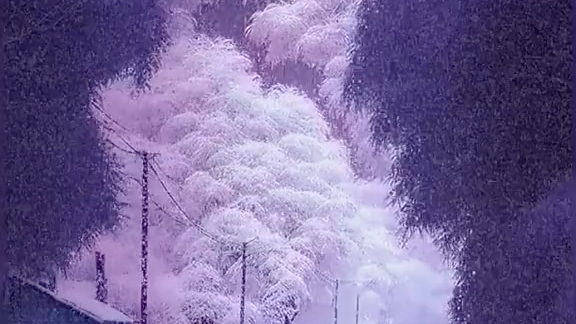 冬日里的浪漫！手机雪景游戏，让你足不出户感受雪花飘飘的魅力